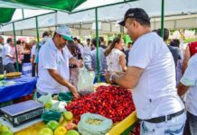 Em Caruaru, Feiras de bairro funcionarão normalmente durante o Carnaval; coleta domiciliar de lixo também