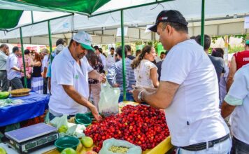 Em Caruaru, Feiras de bairro funcionarão normalmente durante o Carnaval; coleta domiciliar de lixo também