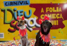 Shopping Difusora realiza fim de semana carnavalesco e bloCão em parceria com Anderson Correia