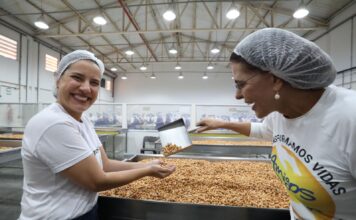 Pernambuco tem maior crescimento econômico do Brasil no início de 2026