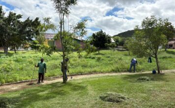 Prefeitura de Caruaru intensifica ações de manutenção e reforça compromisso com a preservação dos Parques Ecológicos