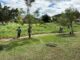 Prefeitura de Caruaru intensifica ações de manutenção e reforça compromisso com a preservação dos Parques Ecológicos