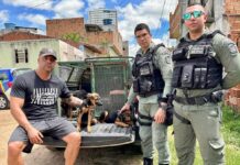 Como Anderson Correia se tornou o pioneiro e a principal referência no combate aos maus-tratos em Pernambuco