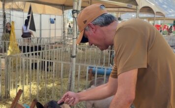 Fernando Monteiro destina quase R$ 1 milhão para requalificação de parque e reforça apoio ao setor rural de Sertânia
