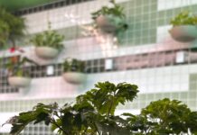 Projeto de Letramento Ambiental estimula estudantes a refletir sobre o cuidado com o meio ambiente
