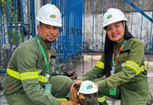 Nova campanha da Neoenergia Pernambuco conta com cão mascote ao lado de eletricistas para alertar sobre segurança