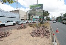 Novo canteiro da Avenida Agamenon Magalhães começa a ganhar forma com a requalificação realizada pela Prefeitura de Caruaru