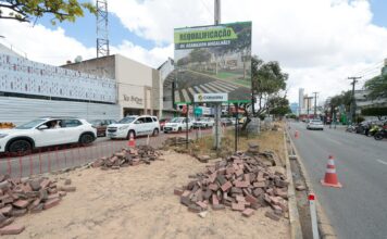 Novo canteiro da Avenida Agamenon Magalhães começa a ganhar forma com a requalificação realizada pela Prefeitura de Caruaru